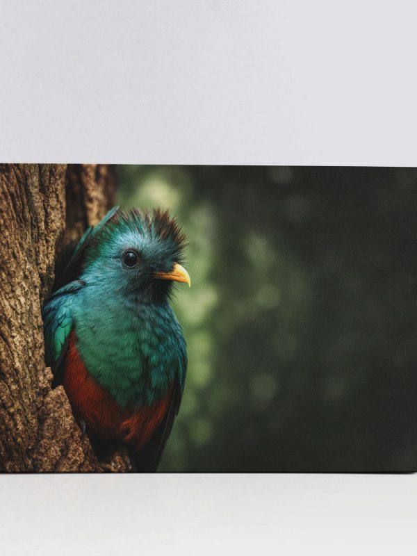 Quetzal